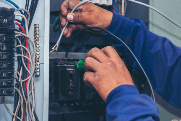 Best Ceiling Fan Installation Electrician  in Baudette, MN