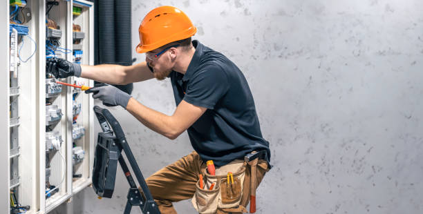 Best Electric Panel Repair  in Baudette, MN